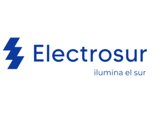 Electrosur